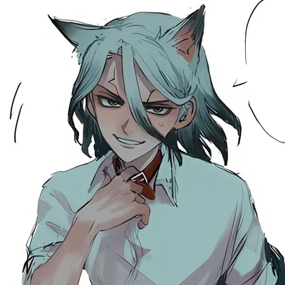 Catboy Senku Ishigami