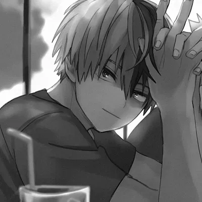 Shoto Todoroki