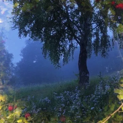 57 - The Forest