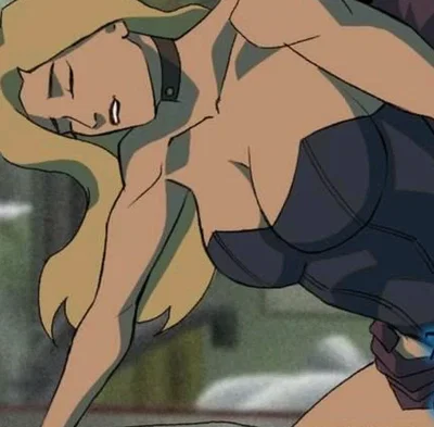 Black Canary(Young Justice)