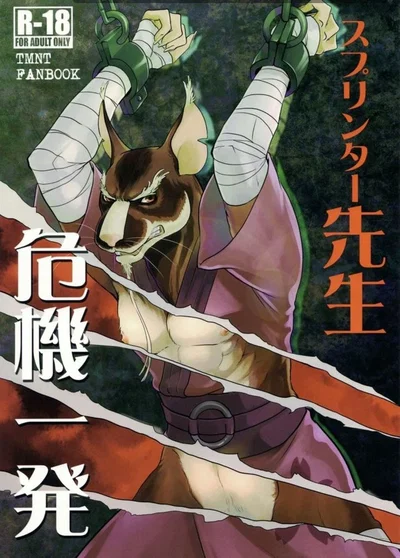 Master splinter-2012