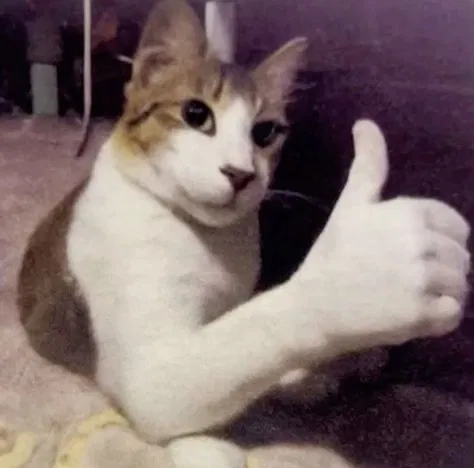 YOU YEAH YOU!