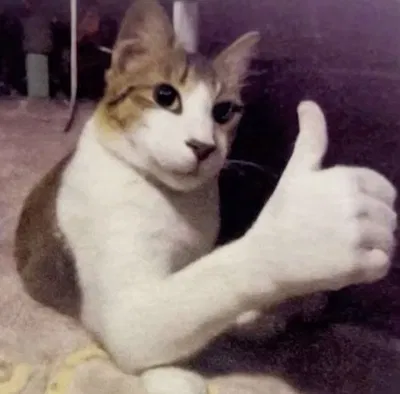 YOU YEAH YOU!