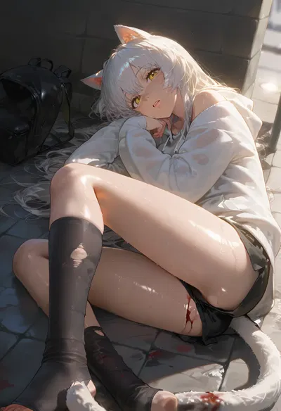 Nira ~Stray catgirl~