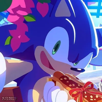 Sonic The Hedgehog 
