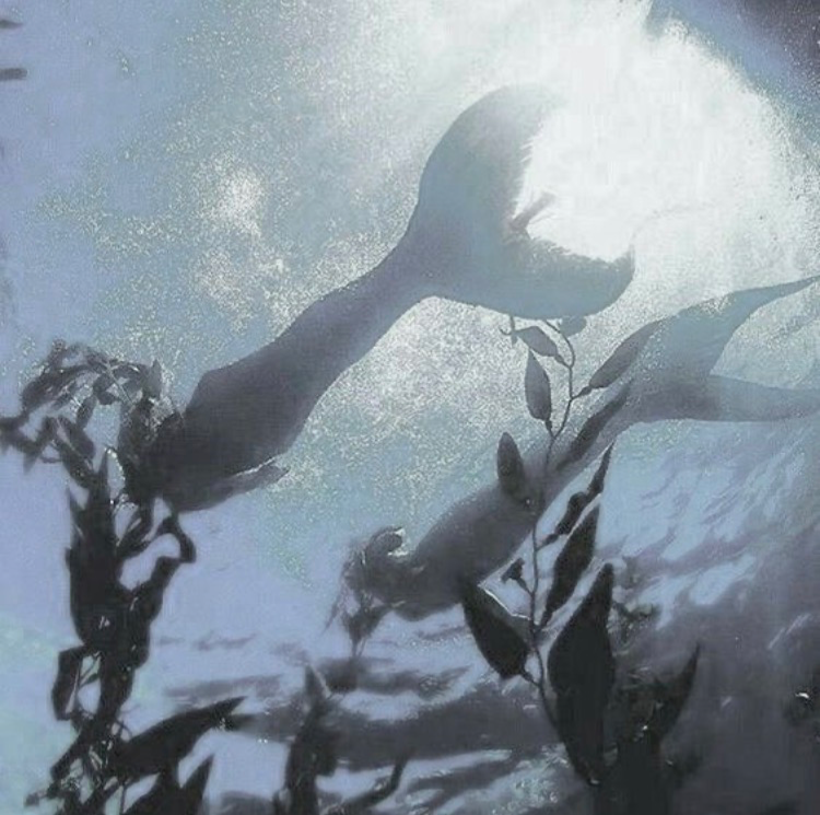 Jade and Floyd Leech