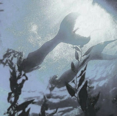 Jade and Floyd Leech