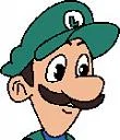 this fuckass luigi