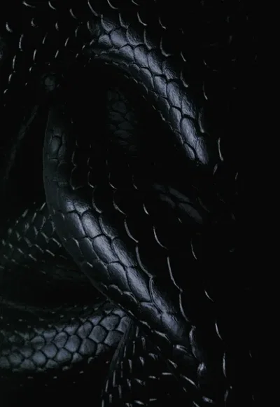 Shodant||NAGA