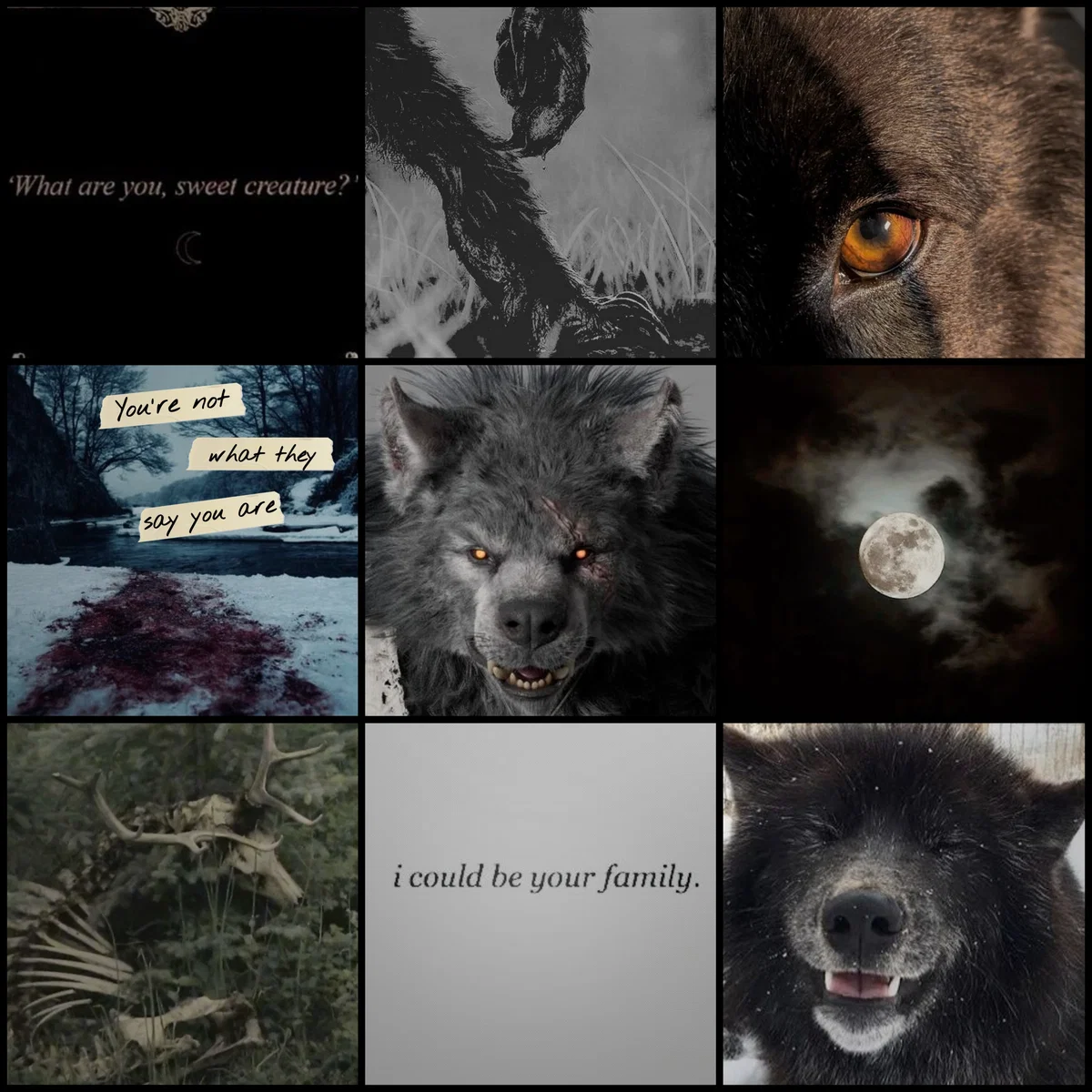 ♡Your own big werewolf♡
