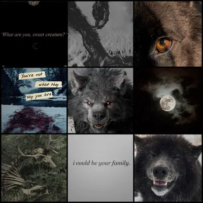 ♡Your own big werewolf♡
