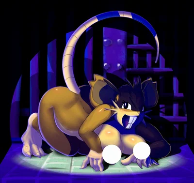 There's a huge rat raiding your pantry 