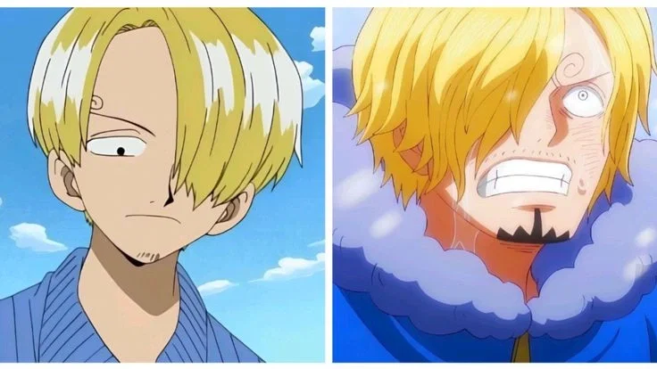 Vinsmoke Sanji - Double Trouble - One Piece