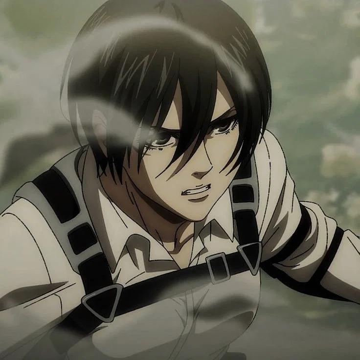 Mikasa Ackerman-AOT