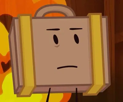 Suitcase - II