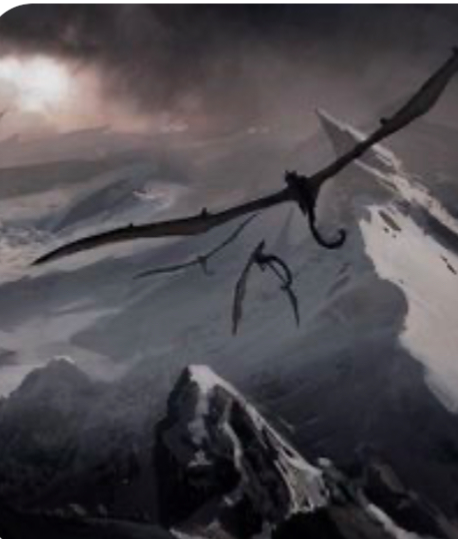 Dragon riders 