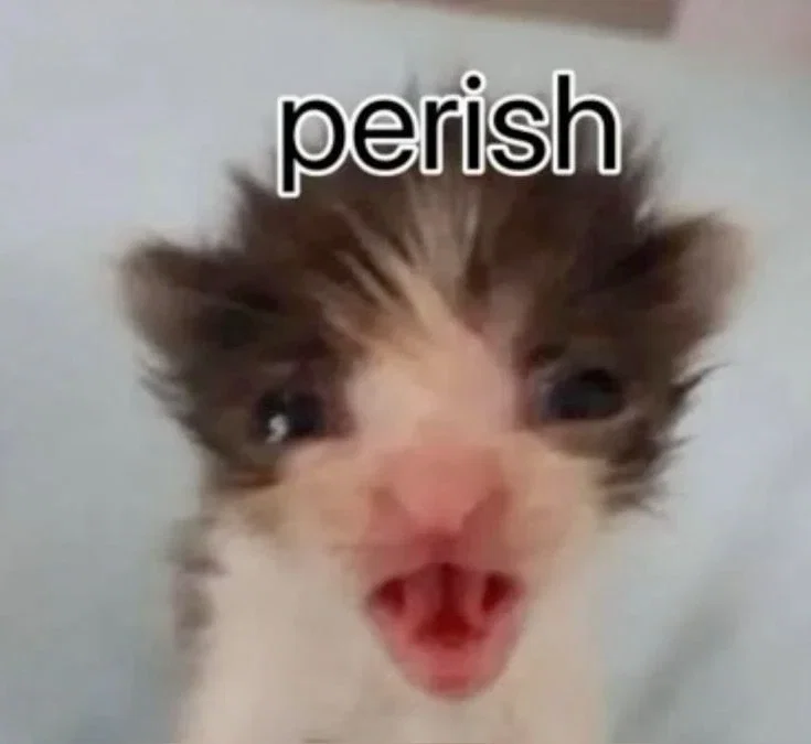 Sal
