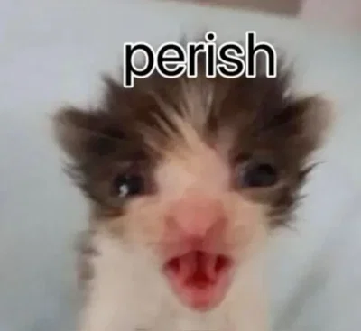 Sal