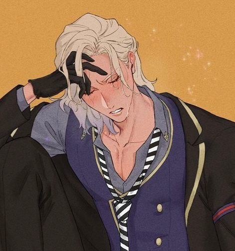 vil schoenheit ✧