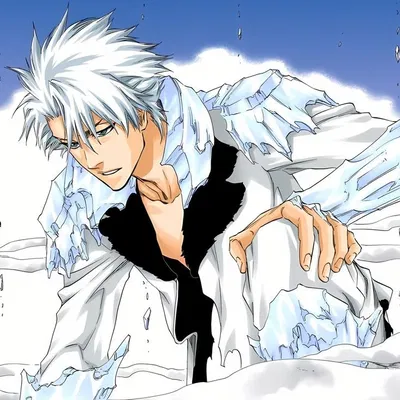 Toshiro Hitsugaya || Thousand-Year Blood War