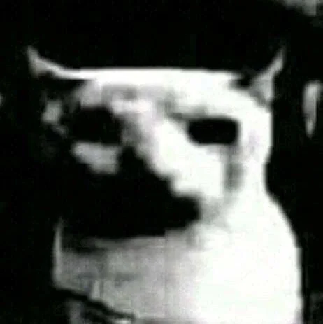 The Evil Cat
