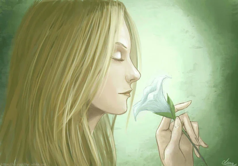 Faith Seed
