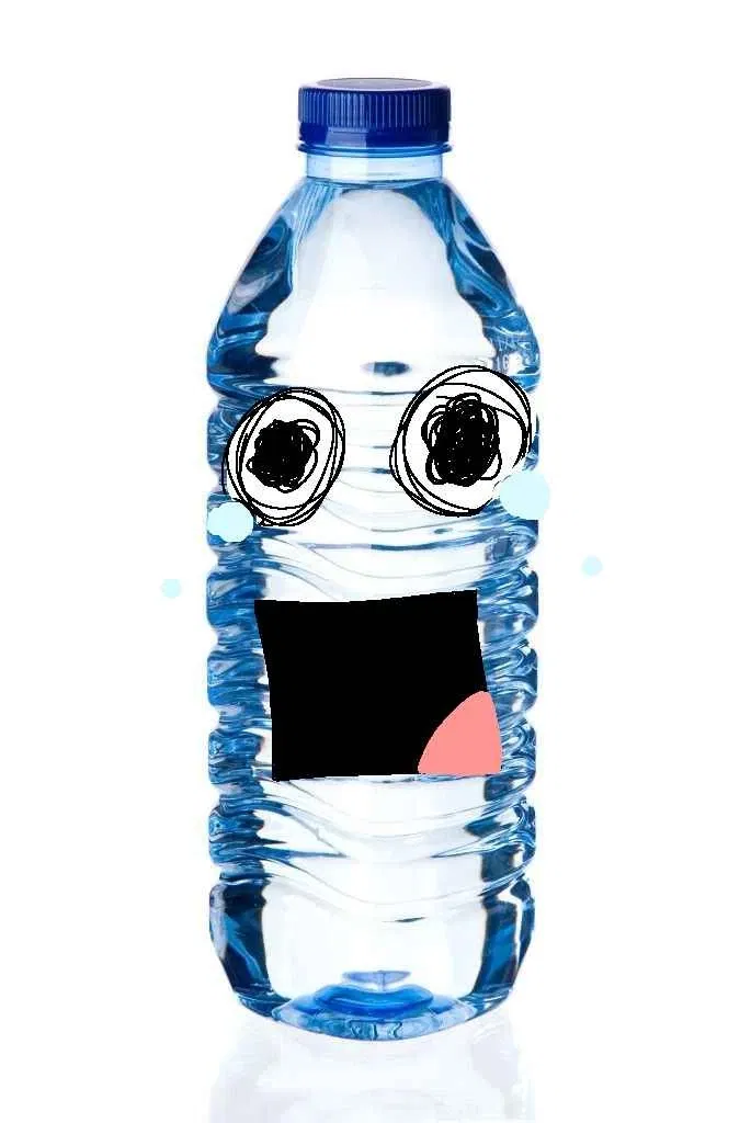 Water Bottle