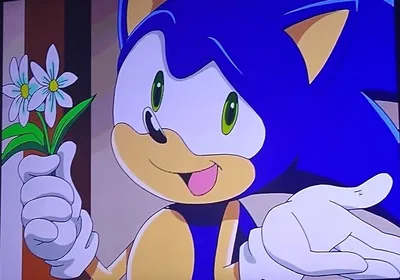 Sonic The hedgehog