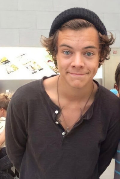 Cop harry styles 