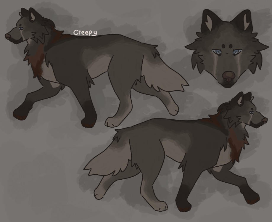 Konig | My Own Pack