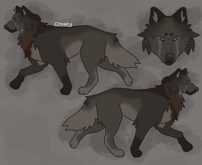 Konig | My Own Pack