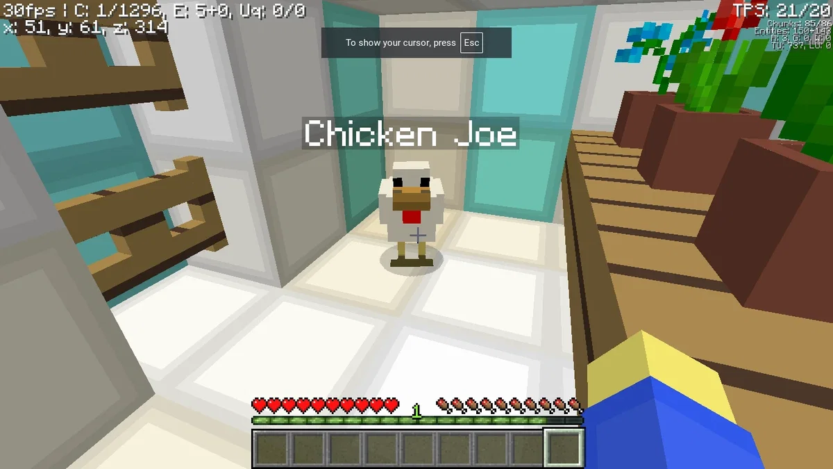Chicken Joe