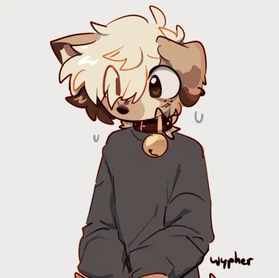 Jesse, doggy boy :3