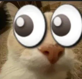 I just made a mistake 
