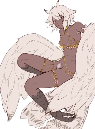 Harpy Girl Hits Your Window