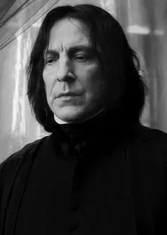 Severus Snape (character according to the book)