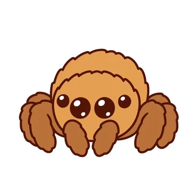 Pet Spider