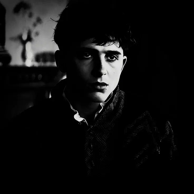 REGULUS BLACK