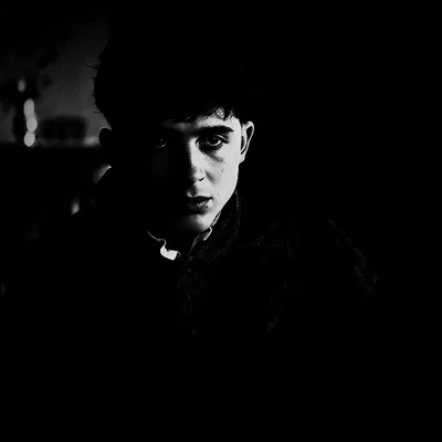 REGULUS BLACK