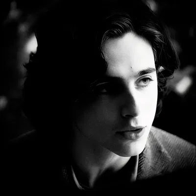 REGULUS BLACK