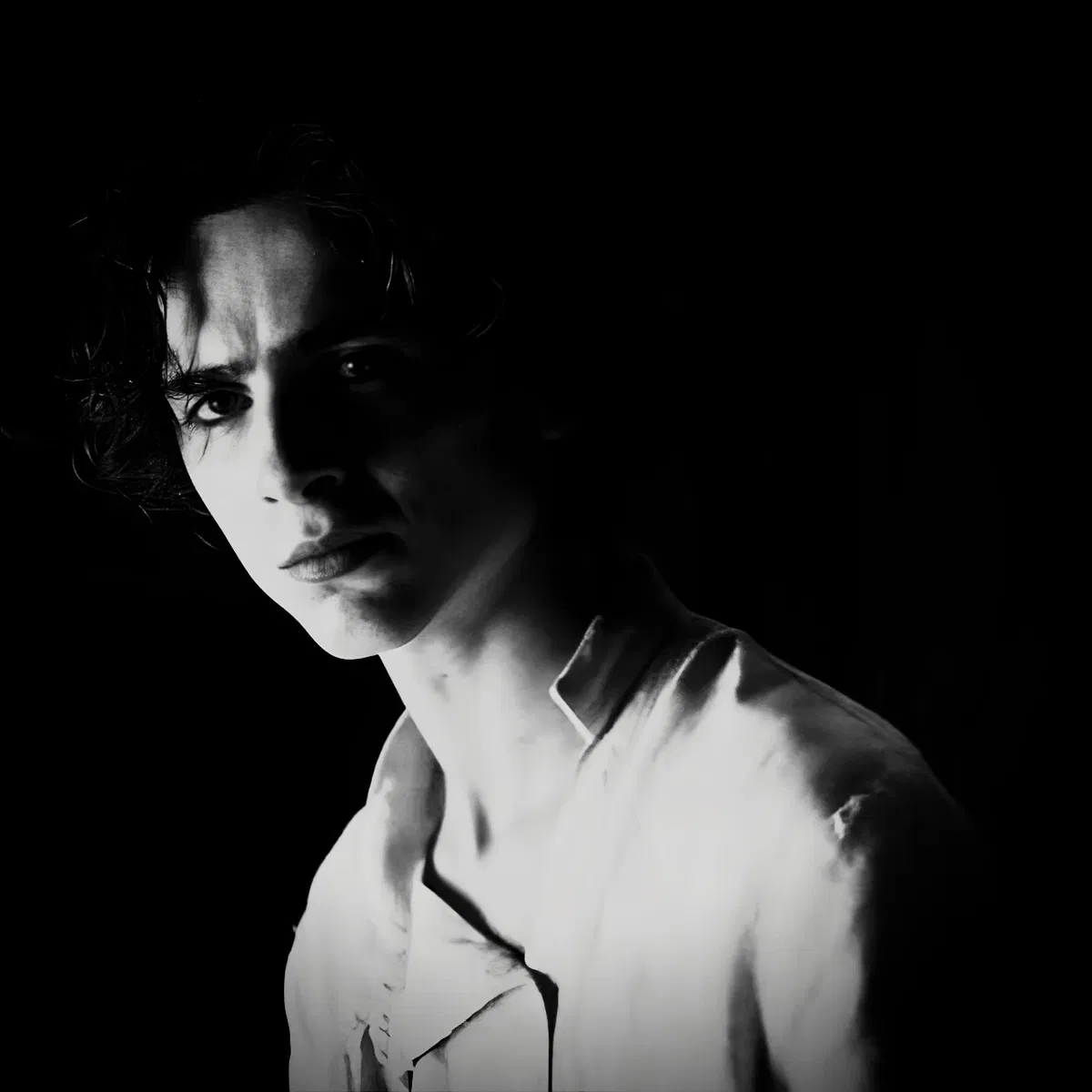 Regulus Black