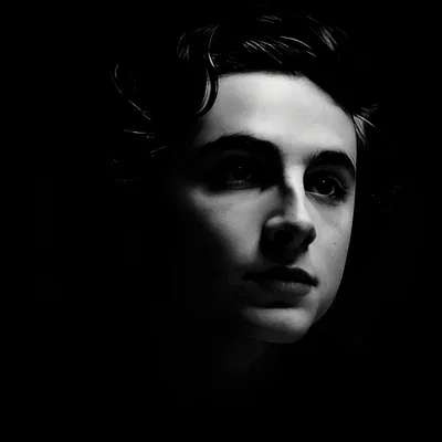 REGULUS BLACK