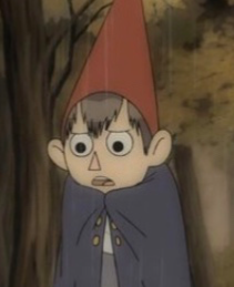 Wirt OTGW