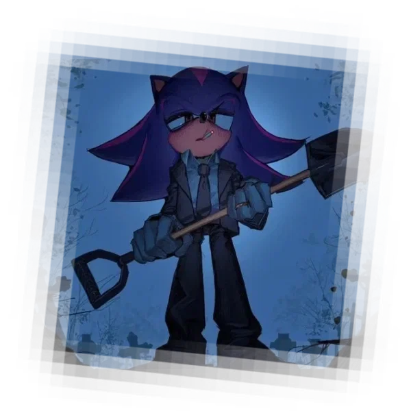 𓉸 𓈒  Shadow The Hedgehog