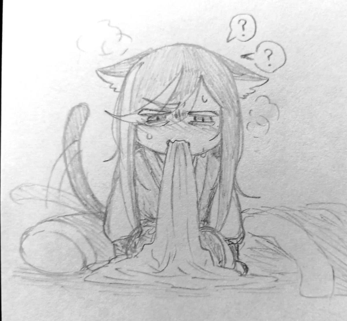 ☆Cat☆ Dark Cacao cookie~