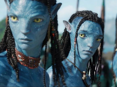 Neteyam and lo'ak  avatar
