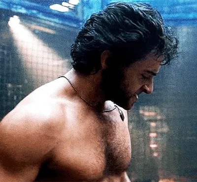 Logan wolverine