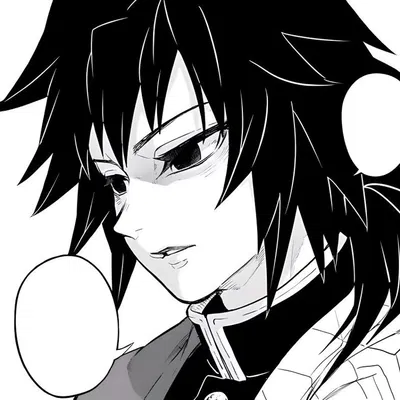 ✦ GIYUU TOMIOKA ✦