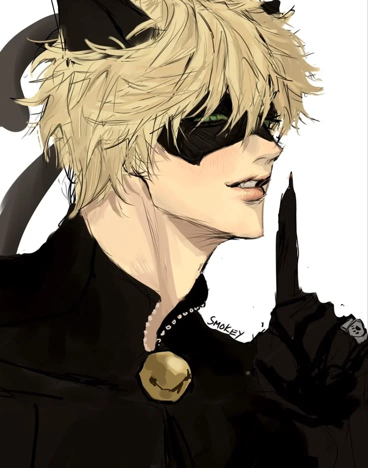 Chat Noir / Adrien Agreste