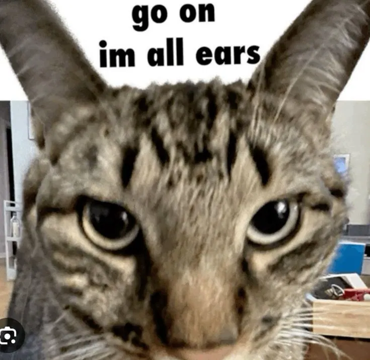 Professional Yap-Listener [Testing]